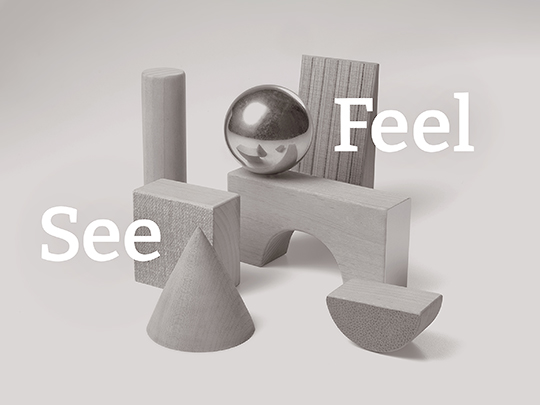 See and Feel 